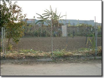 With industrial warehouses and factories all around the inner city farm stands out. The owner wants the land to build a warehouse for Wal-Mart.